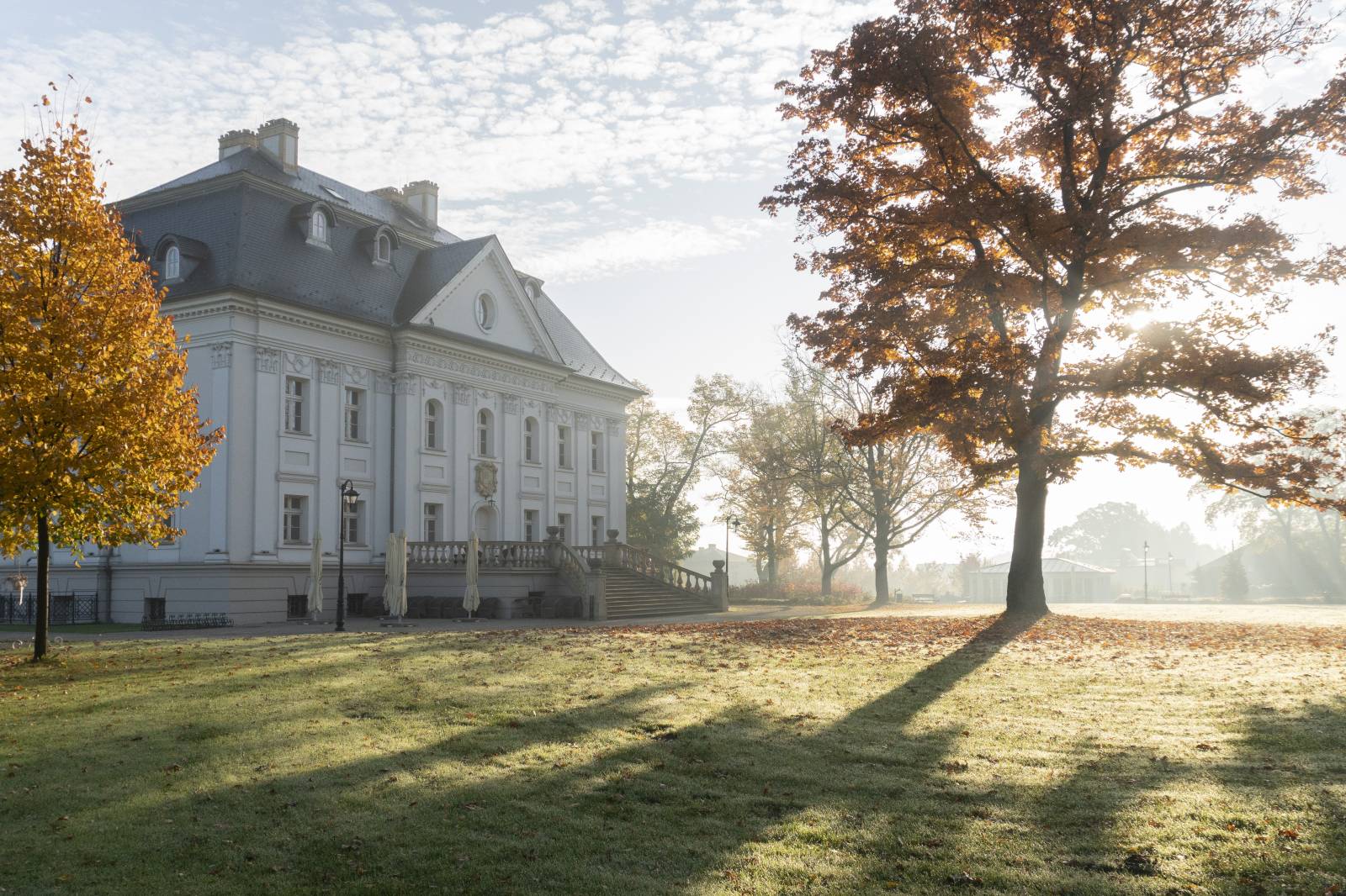 Zdjecie 
            Pałac Borynia