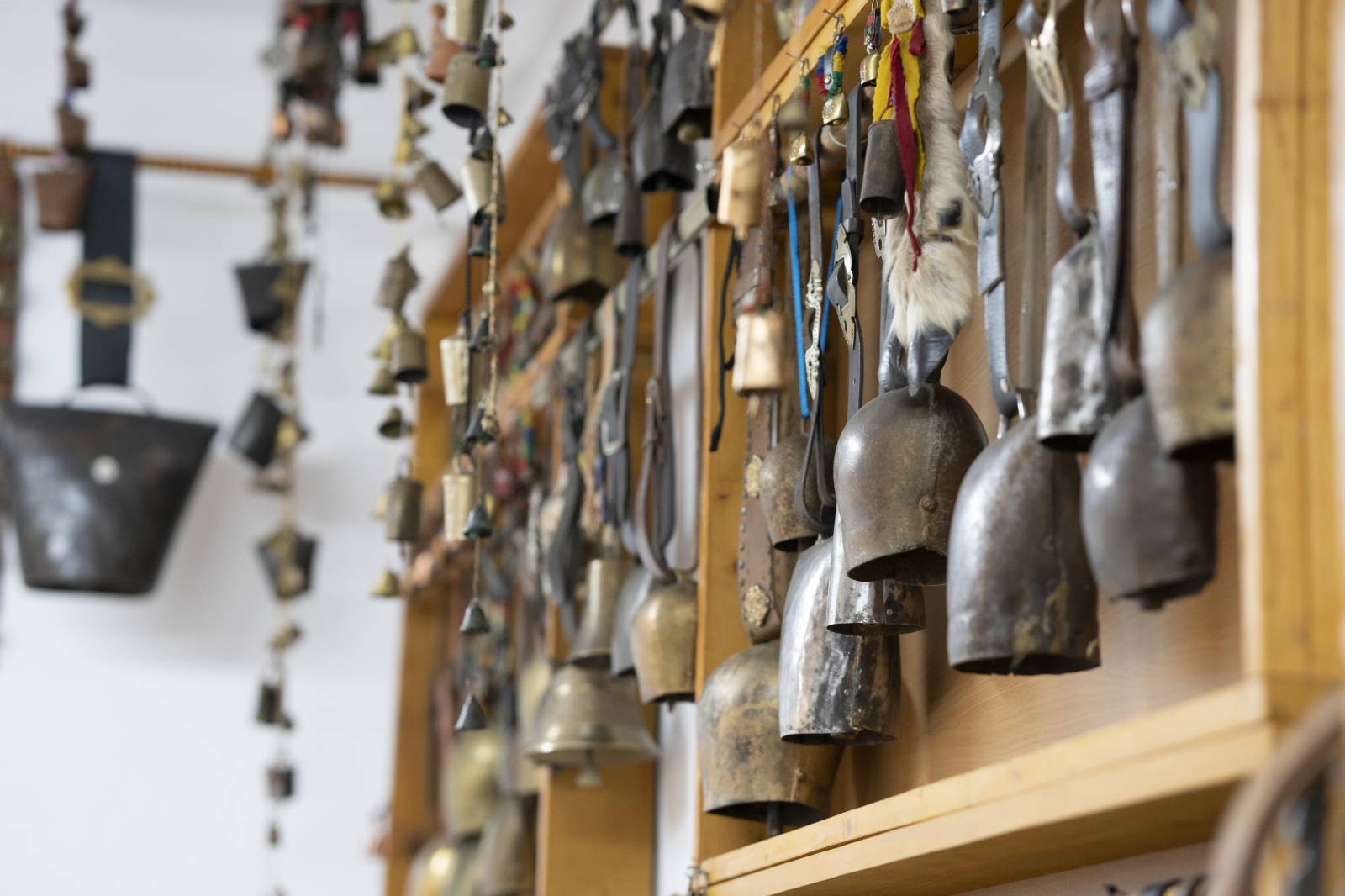 Zdjęcie w galerii Dzwonków 3