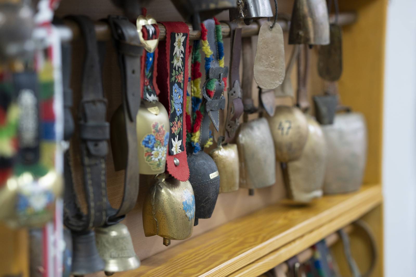 Zdjęcie w galerii Dzwonków 4