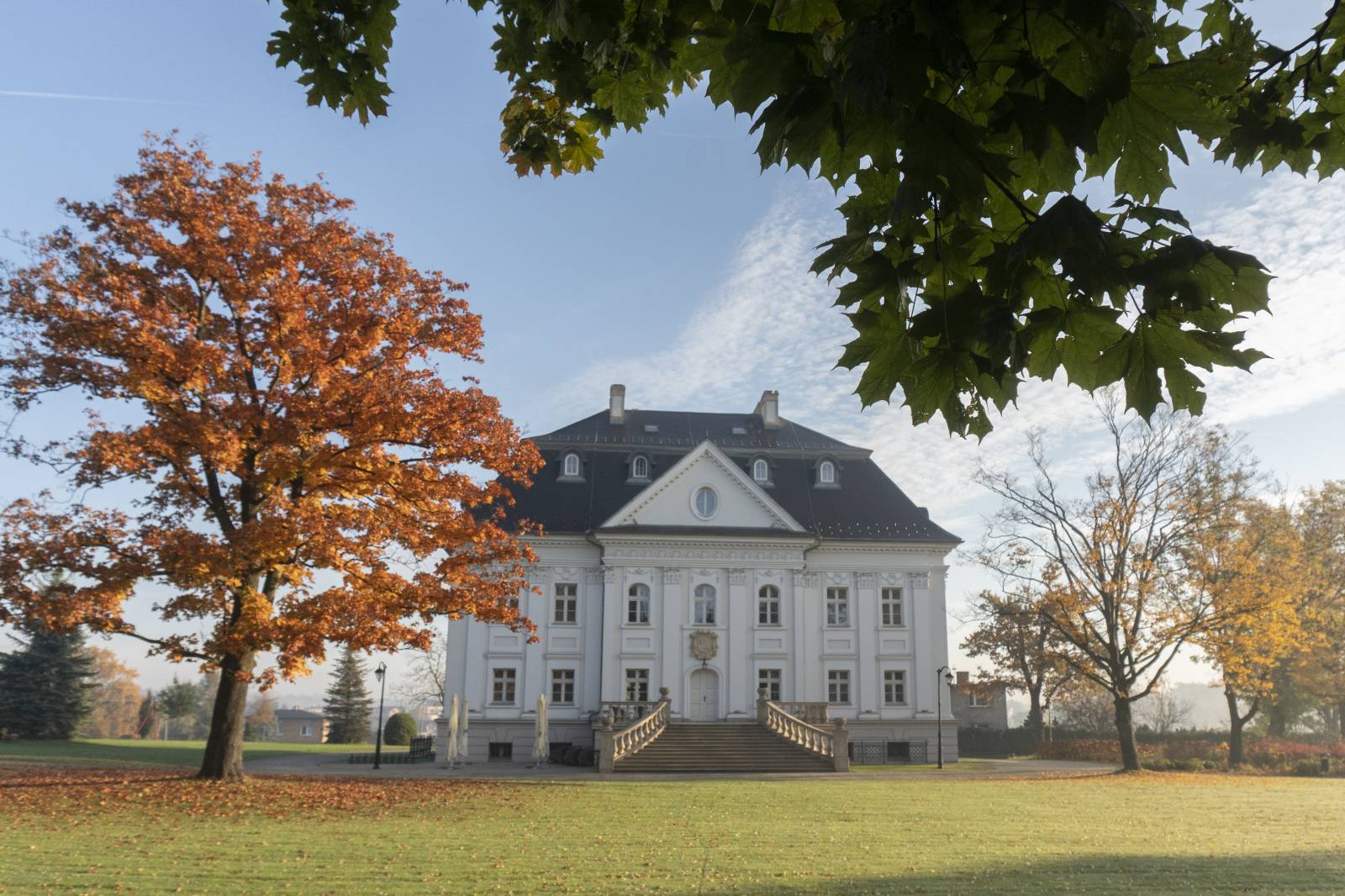 Zdjęcie Pałacu Borynia z oddali